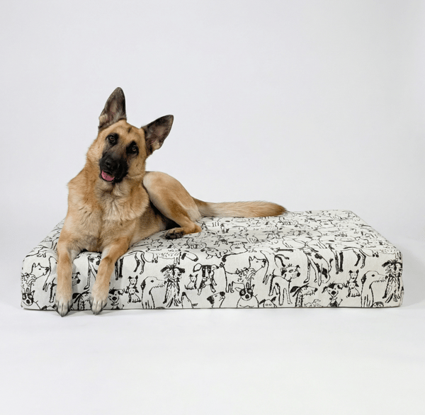 Bluewater Dog Bed Cushion Cover (Dog Print) Review