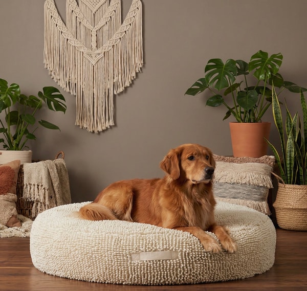 Bluewater Dog Large Snoozy Bed Review