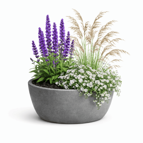 Blumixx Blumentopf-Set Frische Brise 3 Pflanzen sonnig Bewertungen