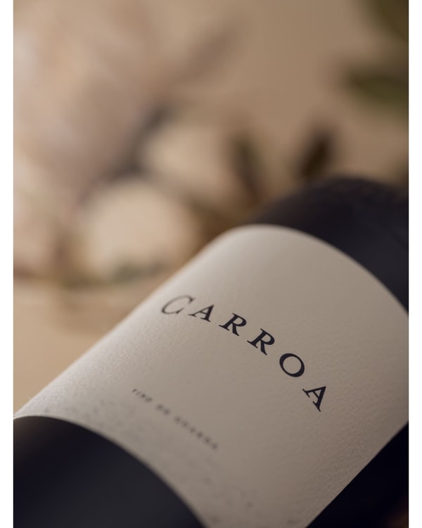Acerca de Bodegas Protos