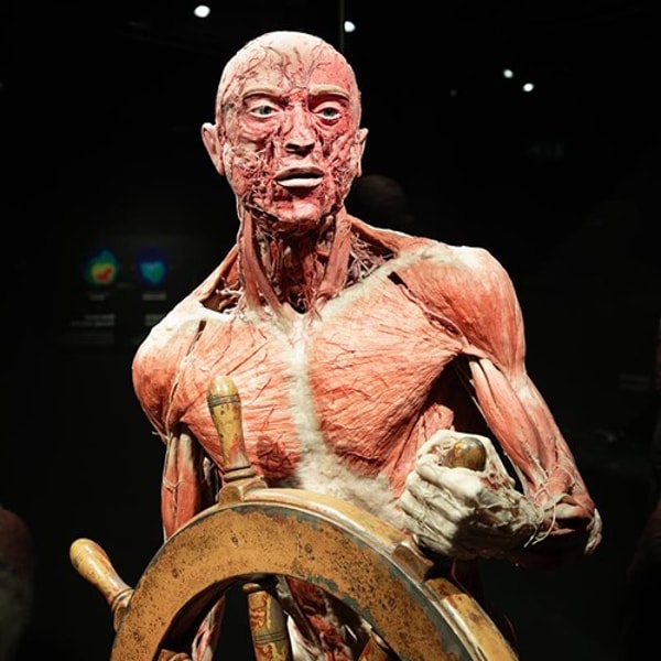 Body Worlds Amsterdam Ticket Beoordeling