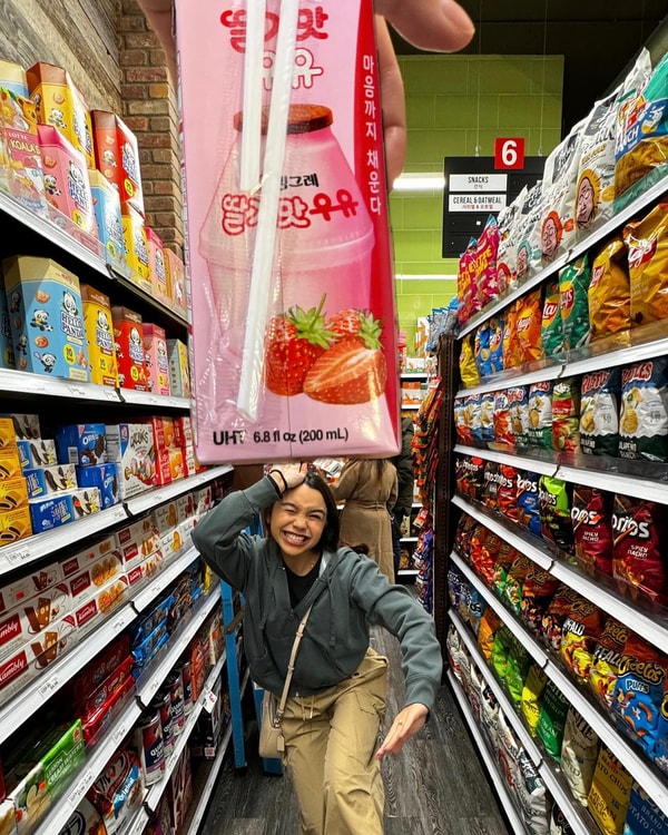 Bokksu Grocery Review