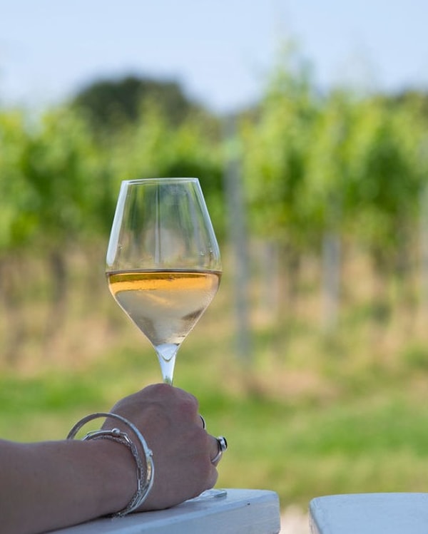 About Bolney Wine Estate