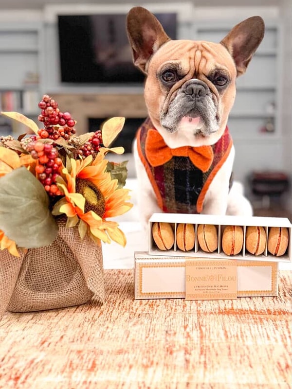 Bonne et Filou Bundle of Dog Macarons Review
