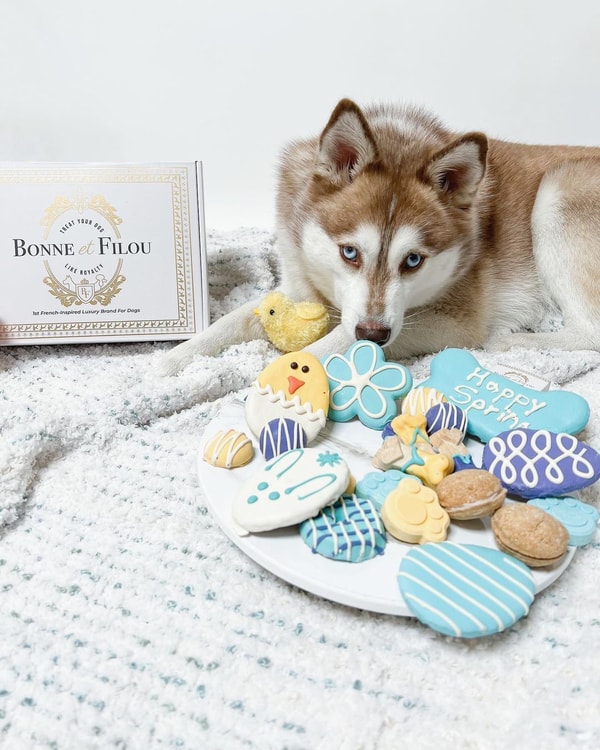 Bonne et Filou Spring Themed Gift Box Review