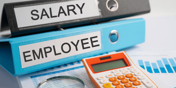 Bookkeeping Business Online Payroll Processing Review