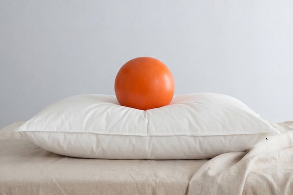 Boring Mattress Down Alternative Pillow Review