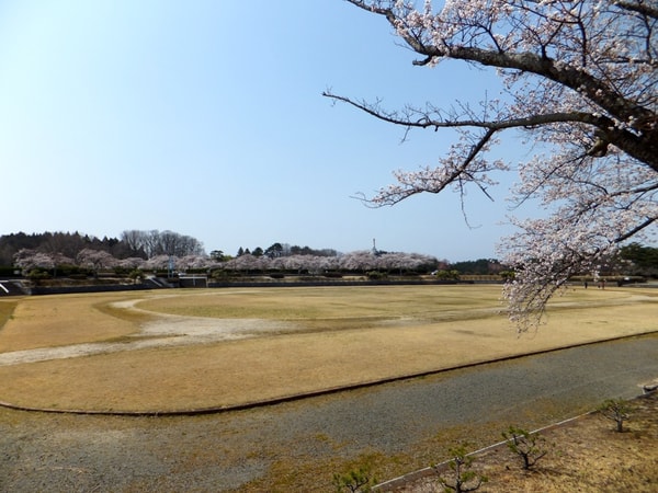 Boseki Navi レビュー