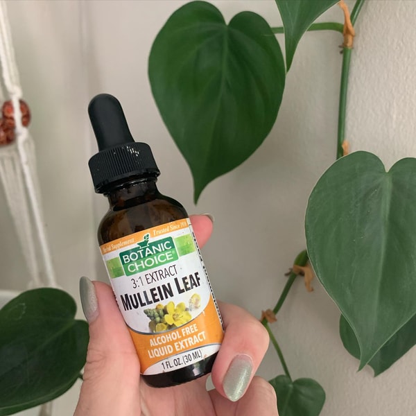 Botanic Choice Review