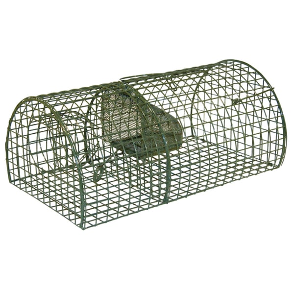 Boutique anti-nuisibles Cage de capture pour plusieurs rats Review