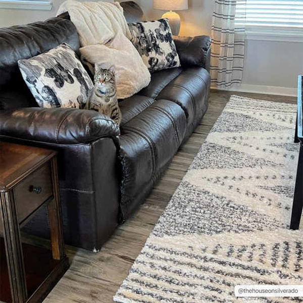 Boutique Rugs Trunding Plush Area Rug Review