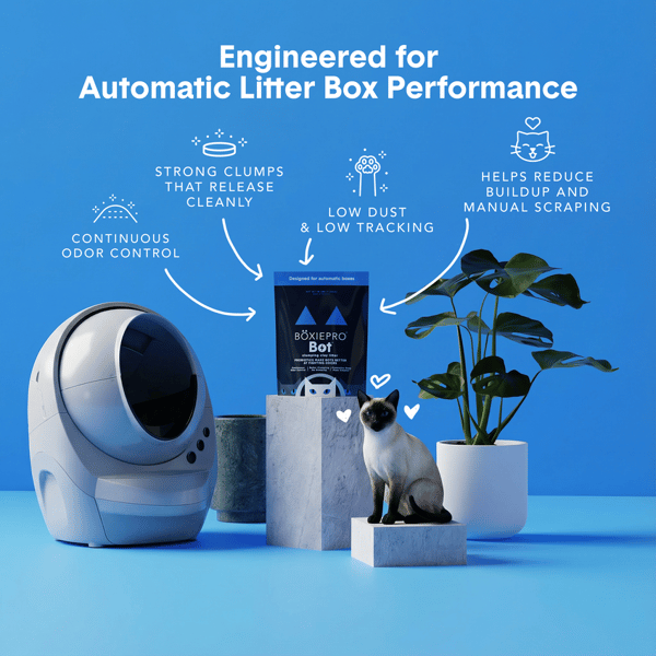 Boxie Cat BoxiePro Bot Review