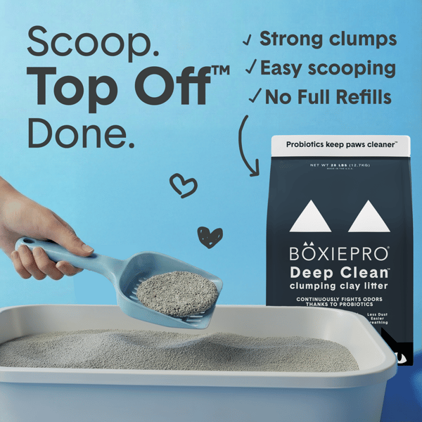 BoxiePro Deep Clean Review