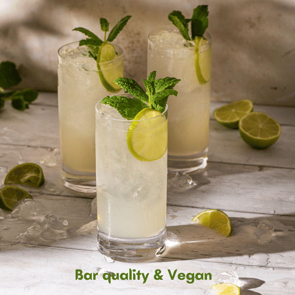 Boxtails Classic Mojito Review