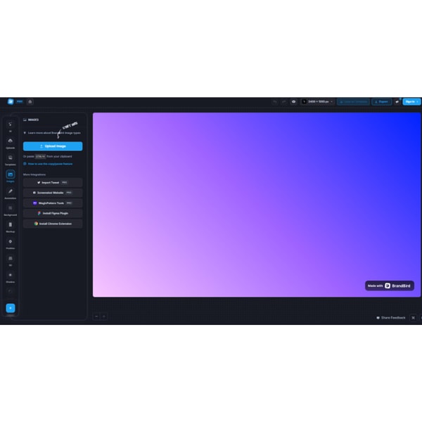 BrandBird Studio Review