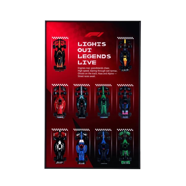 BrickZoneHub Wall Display Frame for LEGO Speed Champions F1 Cars Review