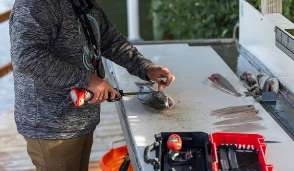 BUBBA Pro Series Electric Fillet Knife review