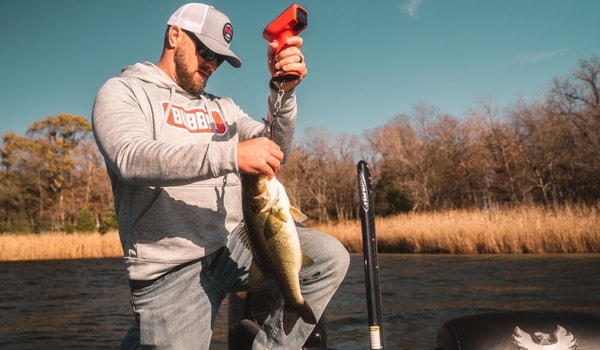 BUBBA Pro Series Smart Fish Scale Review