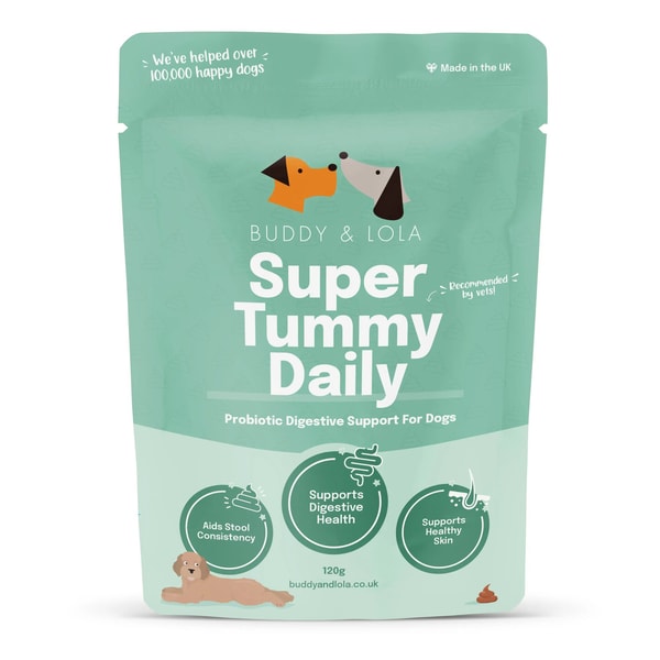 Buddy and Lola Probiotics for Dogs Review