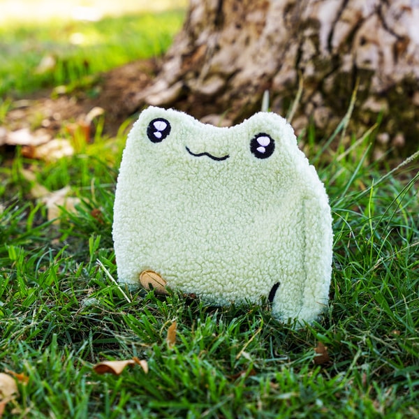 buddy beans Slippy the Frog Review