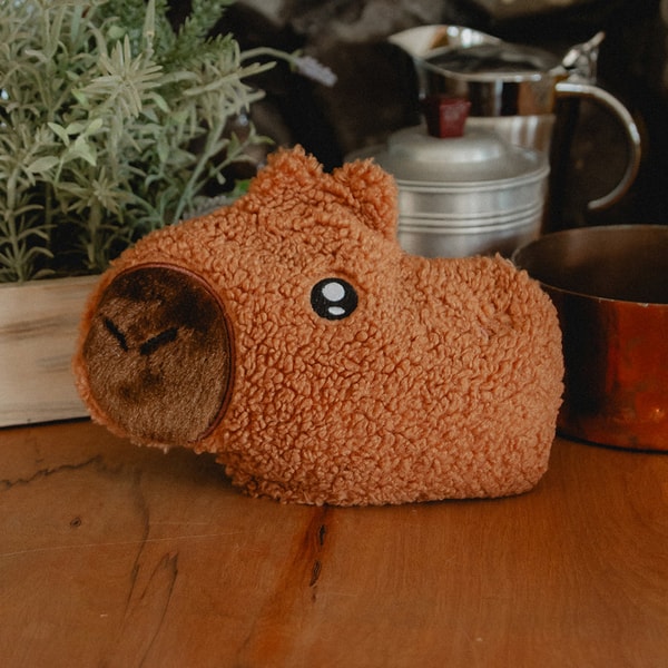 buddy beans Churro the Capybara Review