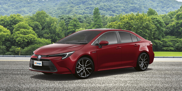 Budget Car Rental Economy Cars Review