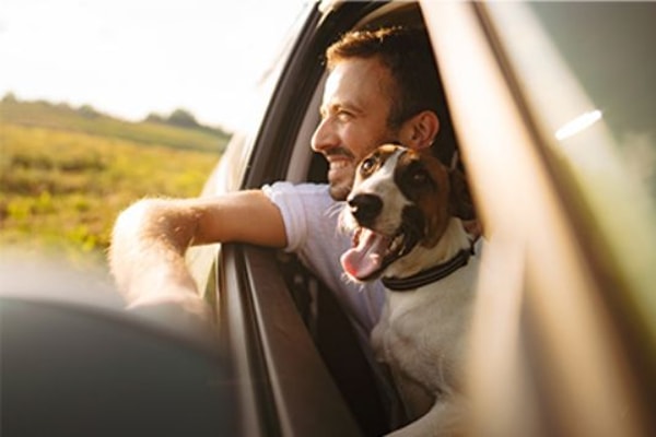 Budget Car Rental Review