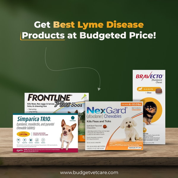 About BudgetVetCare