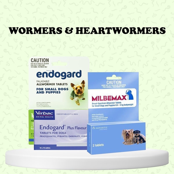BudgetVetCare Review