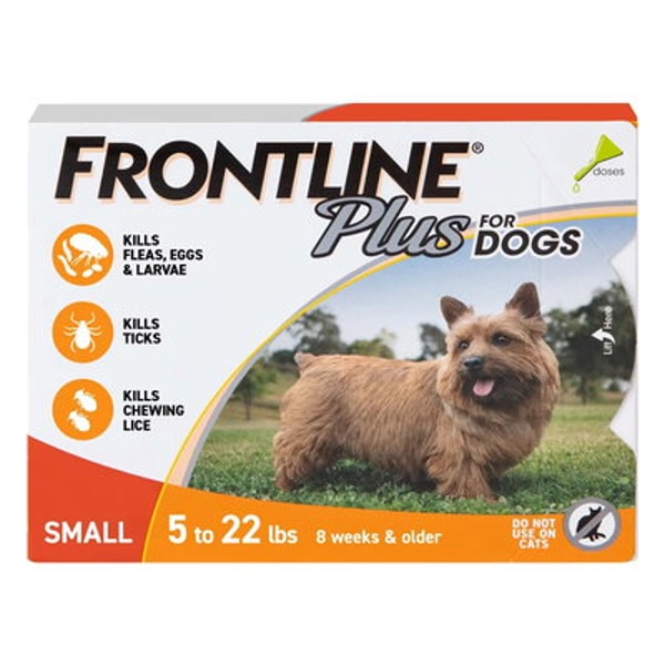 BudgetVetCare Frontline Plus Review