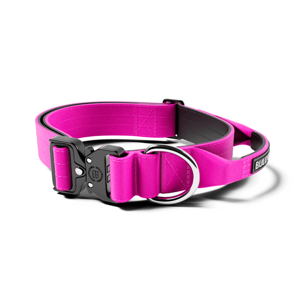 BullyBillows 4cm Combat Collar With Handle And Rated Clip Magenta Review