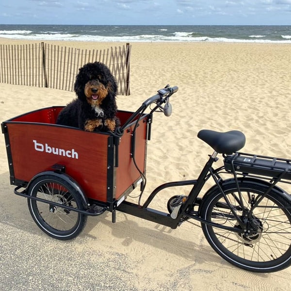 Bunch Bikes The K9 4+ Review