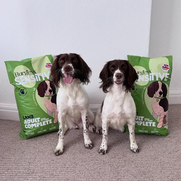 About Burgess Pet Care