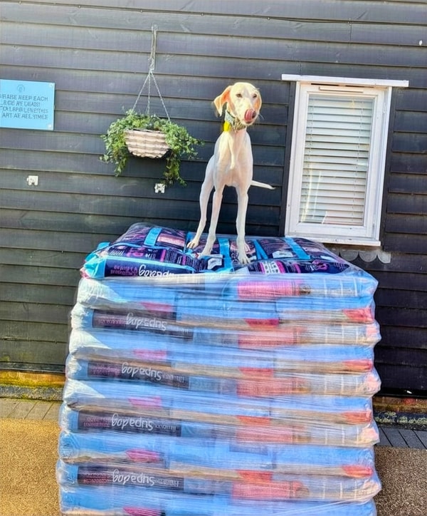Burgess Pet Care Review