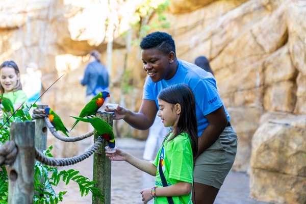 Busch Gardens: Into the Wild Side
