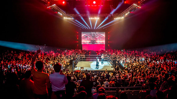 BusForFun WWE Summer Tour 2026 Recensione