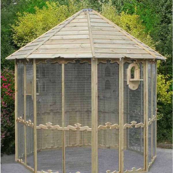 Buttercup Farm Ipswich Aviary Review