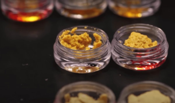 Find the Benefits with Buy CBD Hub