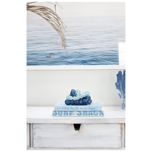 Cailini Coastal Coastal Blues Coffee Table Book Review