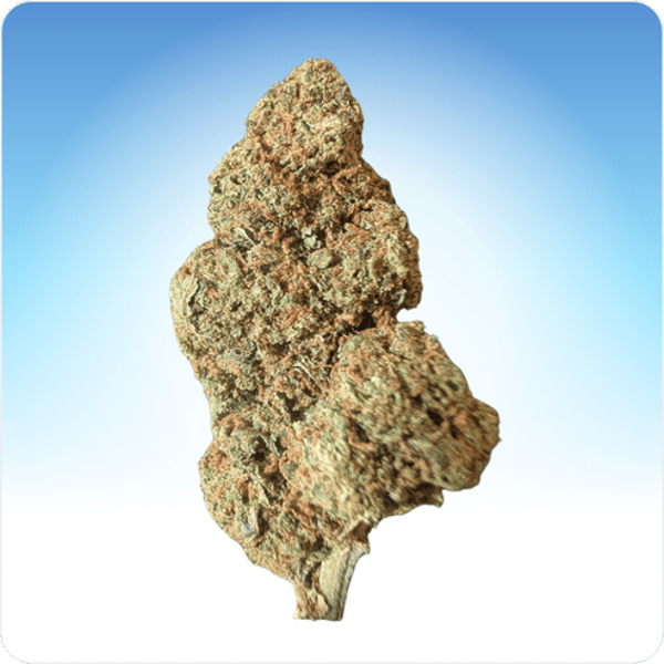 Aper&ccedil;u de Cali Weed