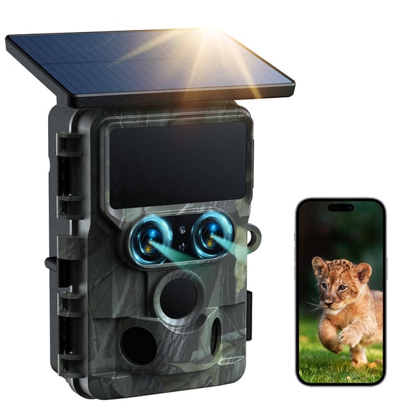Campark TC22 Trail Camera Review