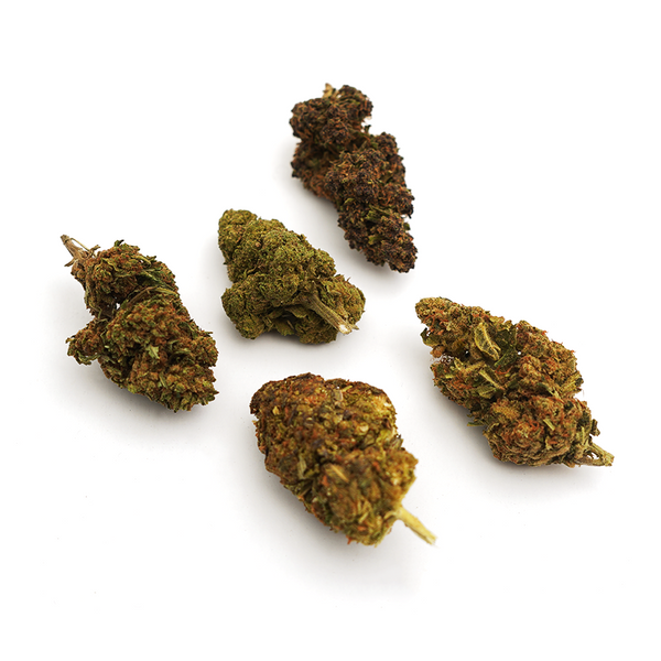 Cannabise Pack D&eacute;couverte Fleurs CBD Avis