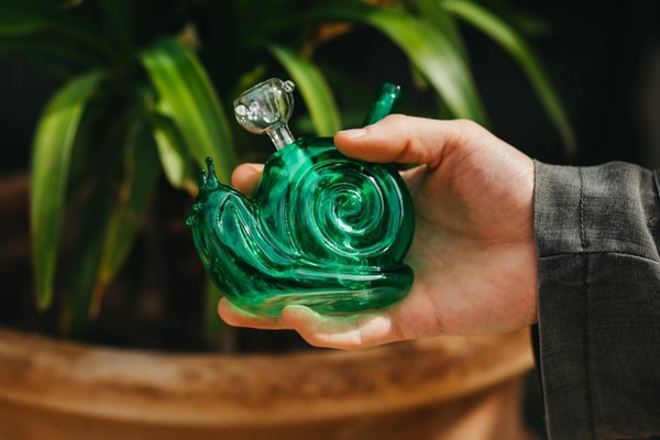 About Cannabox