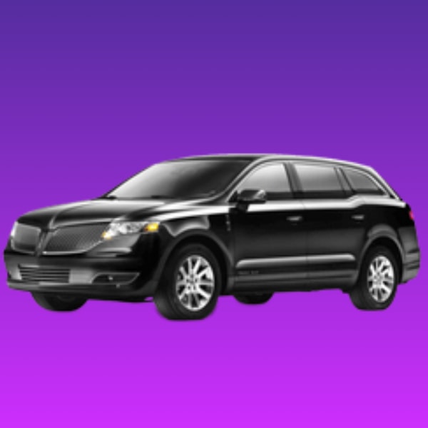 CarmelLimo Product Review