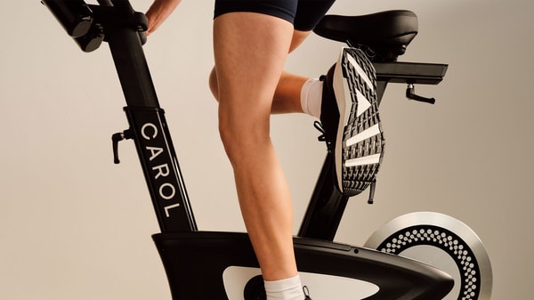 A Closer Look at CAROL Bike