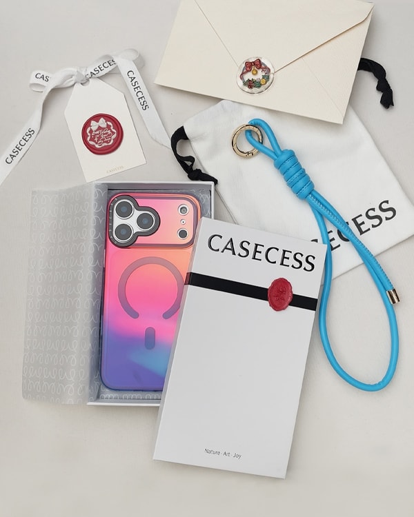 CASECESS Overview