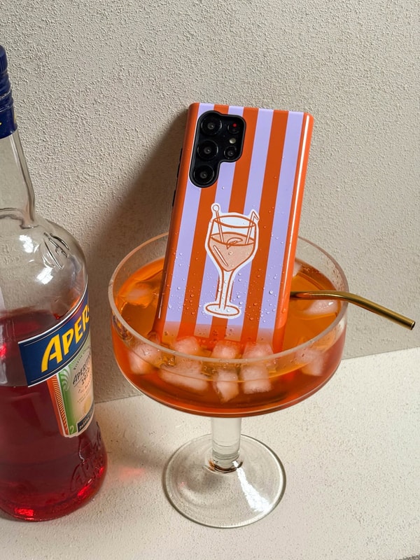Aper&ccedil;u de CaseCompany