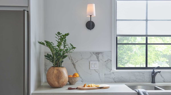 About Caseta by Lutron