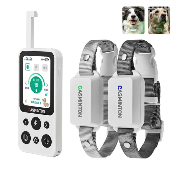 CASMINTON CRS01 Pro Dog Training Collar with LCD Display for Effective Training Reviews