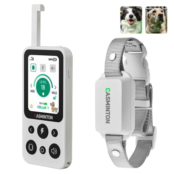 CASMINTON Waterproof Dog Training Collar with Remote Control for Effective Training Reviews
